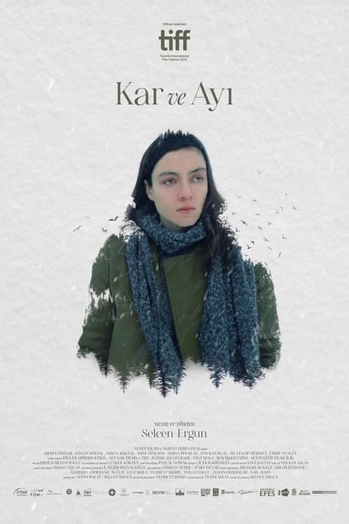 Kar ve Ayi