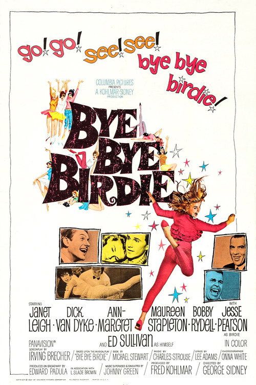 Bye Bye Birdie