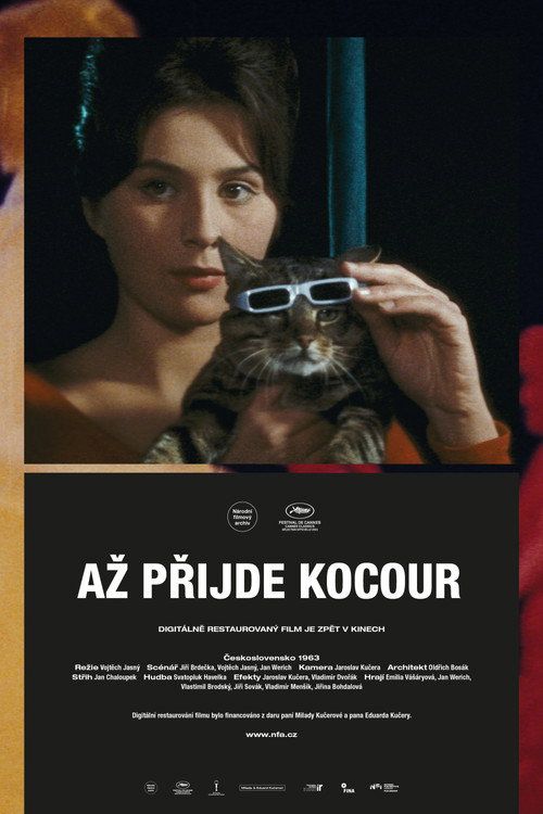 Az prijde kocour