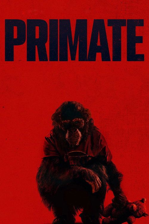 Primate