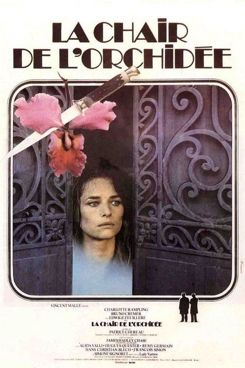 La chair de l'orchidée