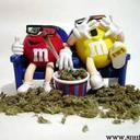 mns