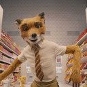 Mr_Fox