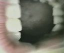 dingdongdead