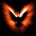 davince338