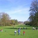 MattAden