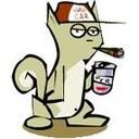 squirrel