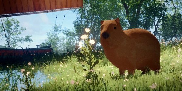 Capybara