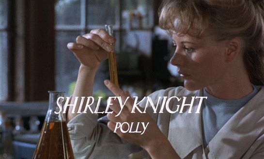 Polly
