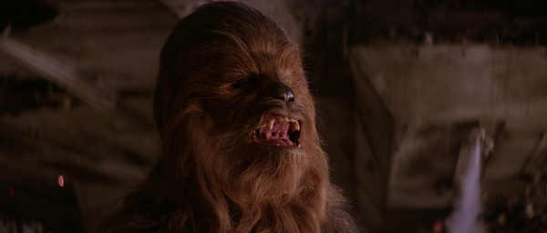 Chewbacca