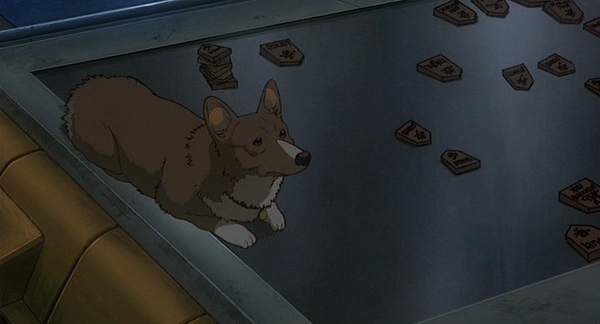 Ein