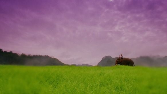 Shot of the Day - March 12, 2011