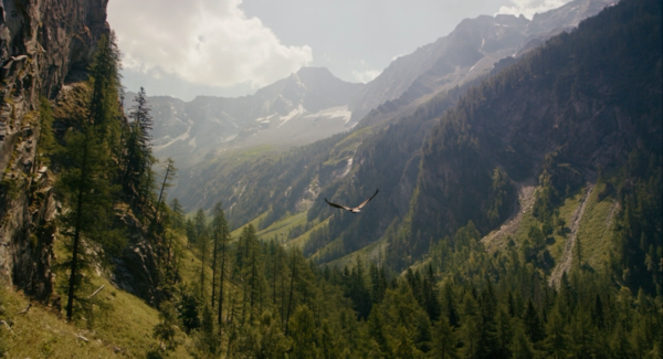 Shot of the Day - September 12, 2017