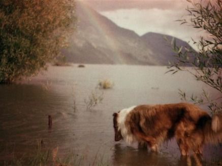 Lassie Come Home