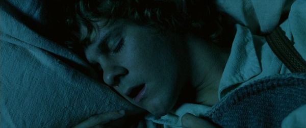 Meriadoc 'Merry' Brandybuck