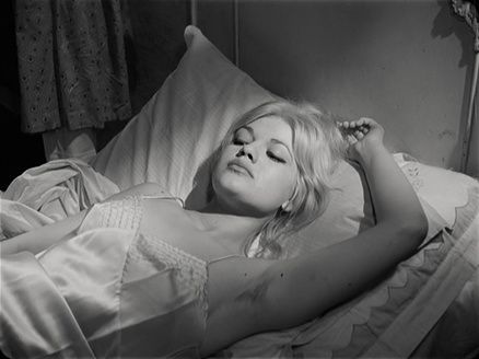Virginia Caracci