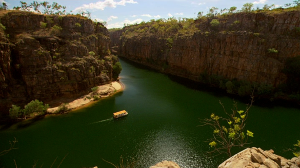 Shot #455396