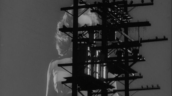 Shot of the Day - August 01, 2012
