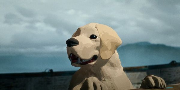 Labrador Retriever