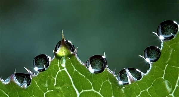 Shot of the Day - June 29, 2011