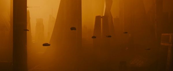 Shot of the Day - November 28, 2020