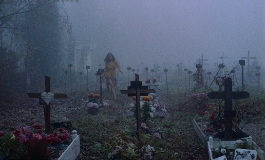 Shot of the Day - February 28, 2026