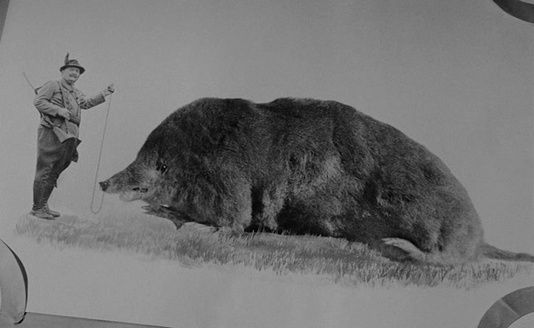 Shot #477977