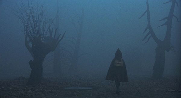 Shot of the Day - December 31, 2011
