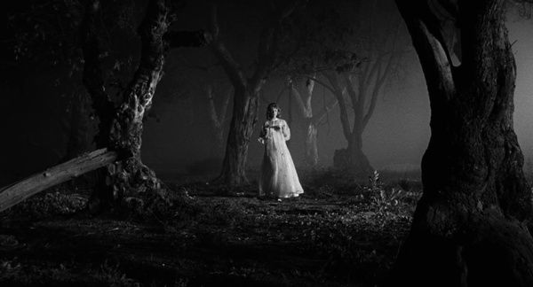 Shot of the Day - November 07, 2020