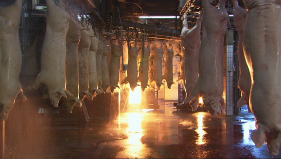Shot #448717