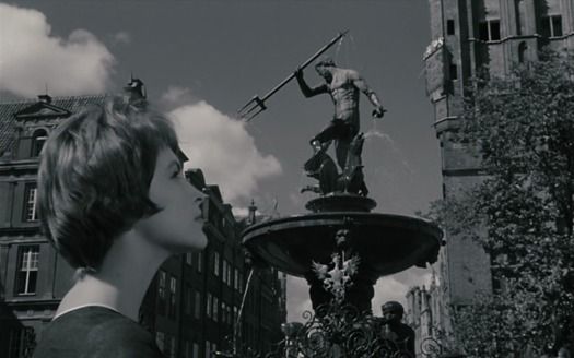 Shot #261984