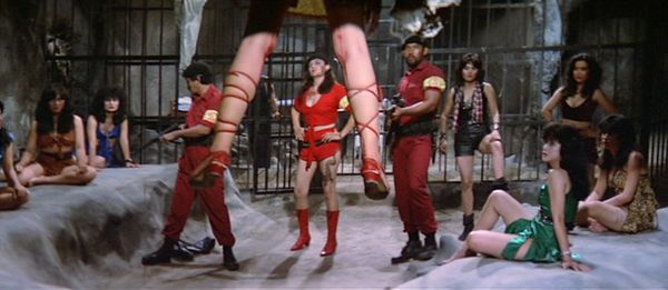 Shot #360278