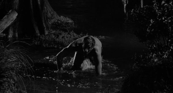 Shot of the Day - July 14, 2021