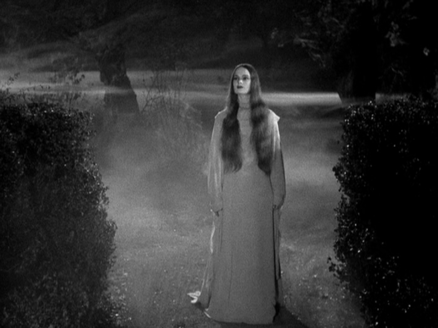 Shot of the Day - January 29, 2020