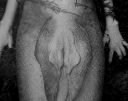 Shot #500821