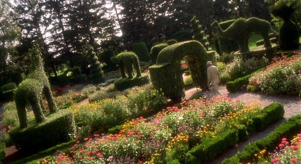 Shot #567828