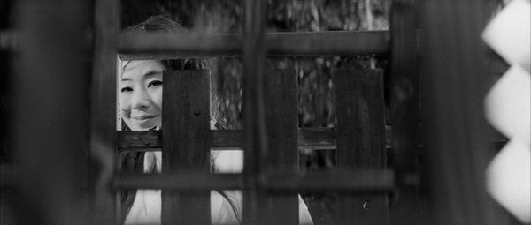 Shot of the Day - July 03, 2021