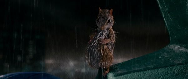 Pip