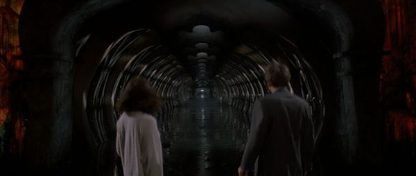 Shot of the Day - September 09, 2025