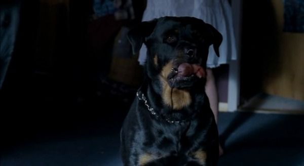 Shot #217638