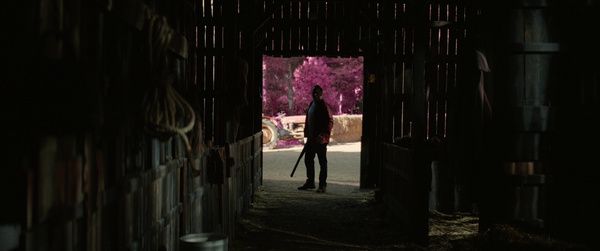 Shot of the Day - February 01, 2026