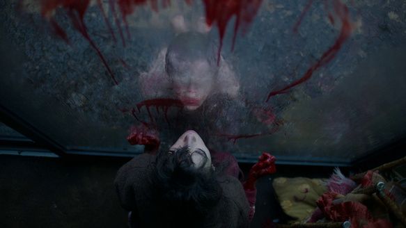 Shot of the Day - February 22, 2026