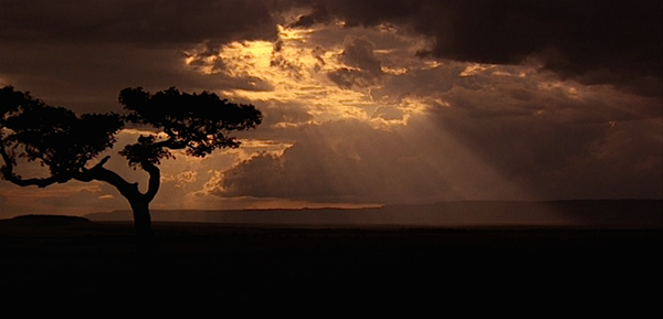 Shot of the Day - May 24, 2017