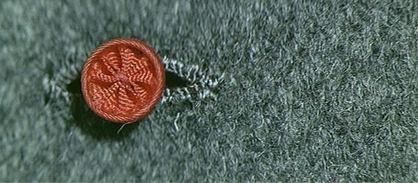 Shot #167182