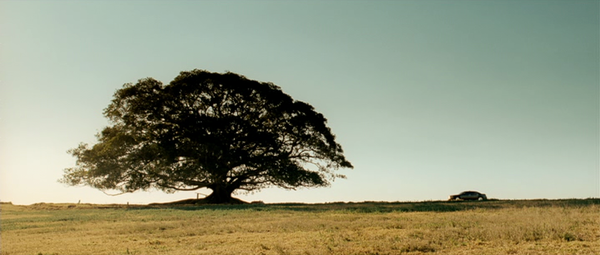 Shot of the Day - May 27, 2017