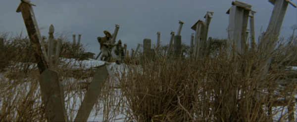 Shot #386068