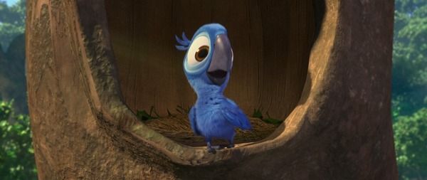 Tyler Blu Gunderson