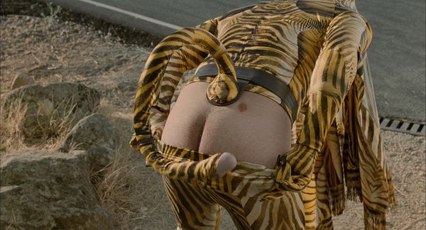 Shot #534109