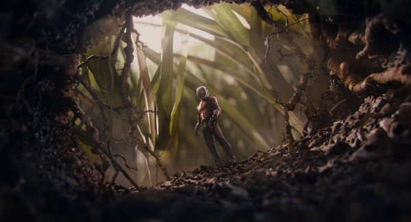Shot of the Day - January 25, 2016