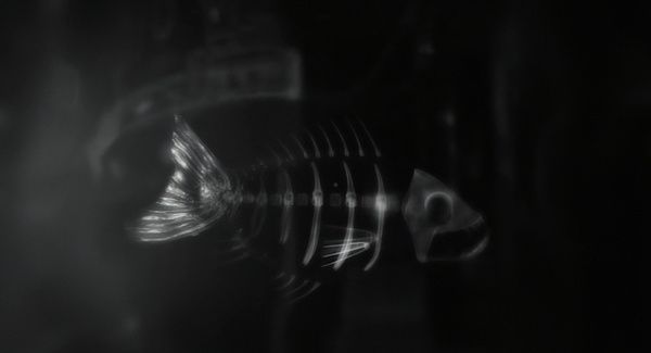 Shot of the Day - September 18, 2021